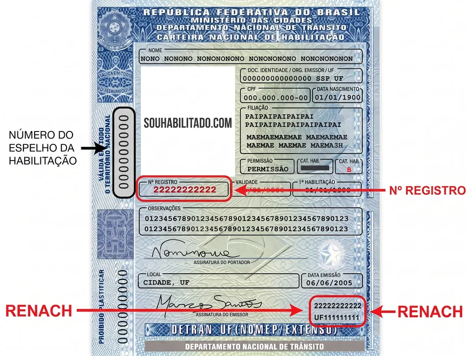Diagrama mostrando onde ficam os campos Número do Registro e Renach na Carteira Nacional de Habilitação
